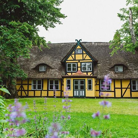 Herrenhaus Gut Dorotheenthal Damp Esterno foto