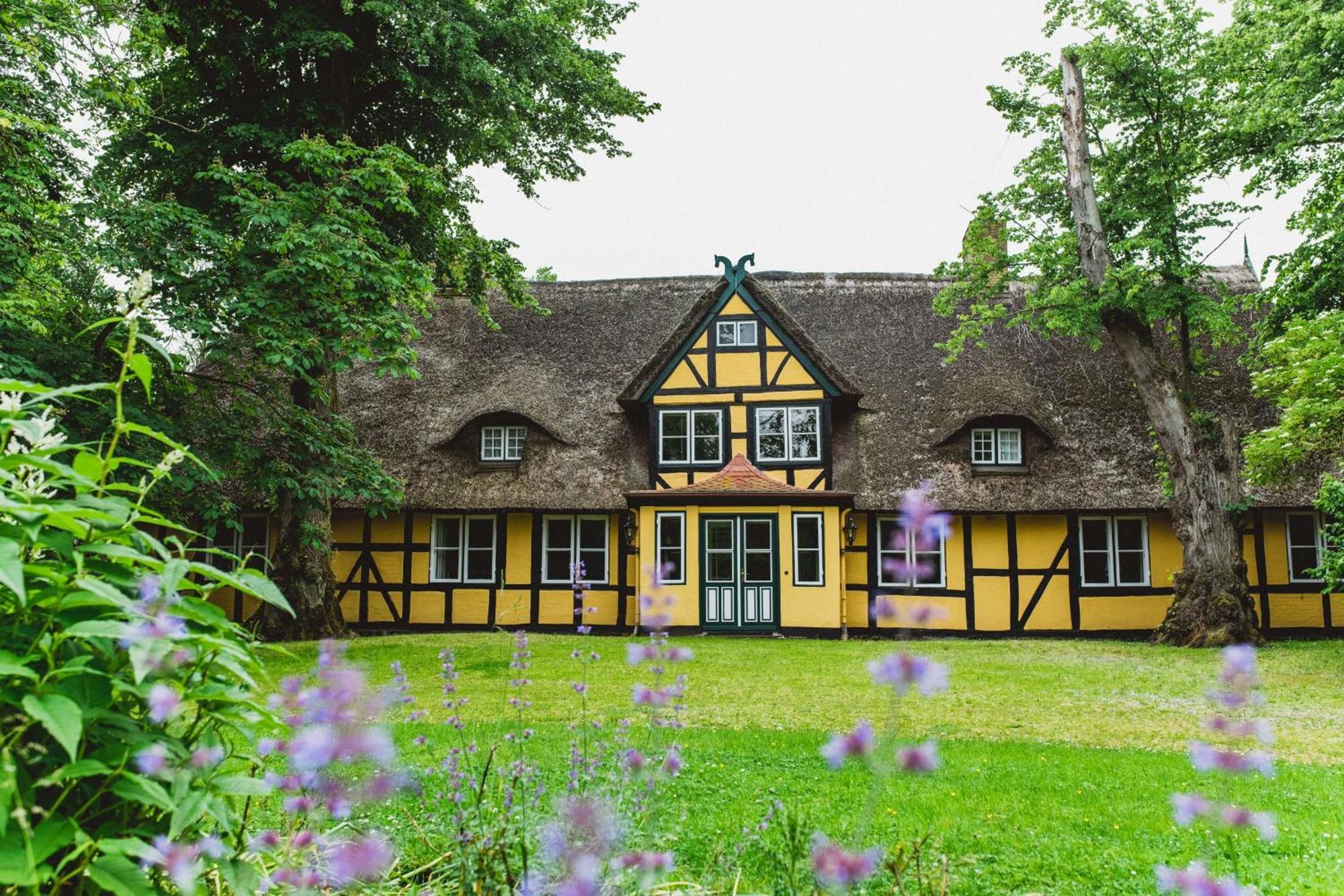 Herrenhaus Gut Dorotheenthal Damp Esterno foto